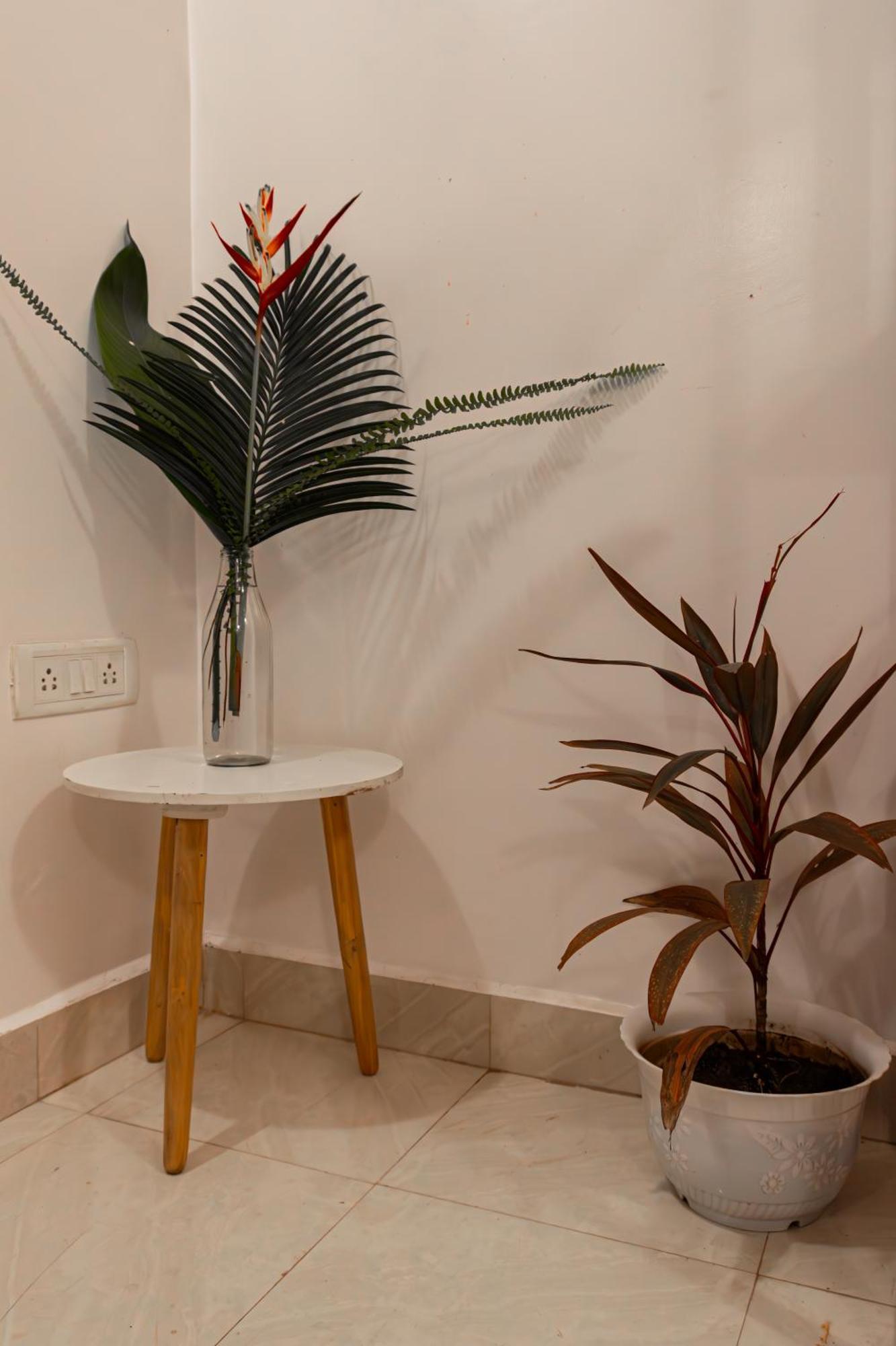 Grand Chivar 1bhk At Vagator By Goaround Homes Villa